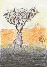 JSS Institute of Naturopathy and Yogic Sciences Coimbatore Events photo 11